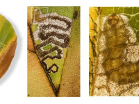 Stigmella tityrella - 25/11/2024 - Gnat Hole -Christian Heintzen