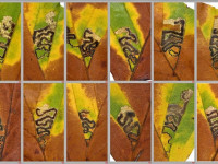 Stigmella tityrella - leaf mines 11-11-2025 - Glossop - Christian Heintzen
