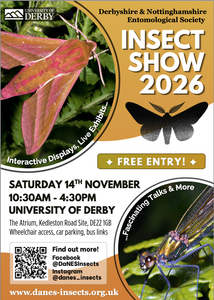 Insect show 2026